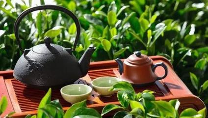 春茶上市，辦公桌上的那一杯，是“真香”還是“套路”？幾招教你輕松辨別
